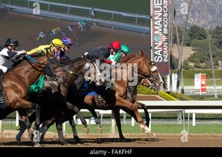 Thoroughbred corse di cavalli Foto Stock