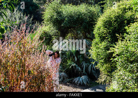 Gainesville Florida, Kanapaha Botanical Gardens, piante, alberi, natura, ispanico Latino etnico immigrati minoritari, adulti donne donne Foto Stock