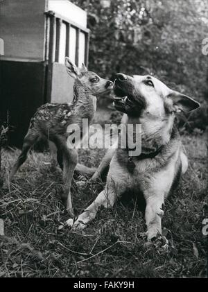 1962 - povero piccolo orfano. Una volta viveva un po' di cervo con sua madre da qualche parte in Germania. sono stati molto felici e amato vicenda molto. Essi erano convinti che avrebbero vivere felicemente mai dopo. Ma un giorno qualcosa di molto triste accaduto. Madre di cervi è andato a fare una passeggiata e ha detto che il piccolo a rimanere in shelter, come pioveva. Il piccolo cervo si è addormentato e quando si risveglia, era buio e freddo e il piccolo cervo rabbrividirono impauriti e era molto affamati. Esso chiede per sua madre, ma era da nessuna parte in vista. Naturalmente il piccolo cervo non poteva sapere che la povera madre era r Foto Stock