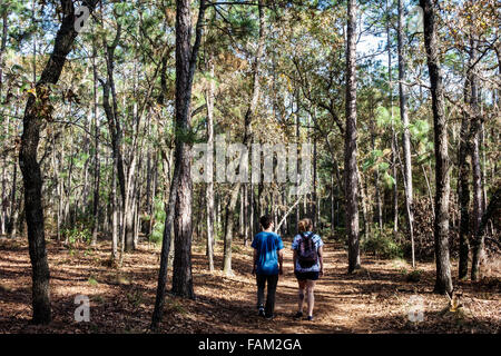 Gainesville Florida,San Pelasco Hammock state Park,paesaggio naturale,natura,escursioni,sentiero,pineta,alberi,teen teens adolager ragazzo,ragazza ragazze, Foto Stock