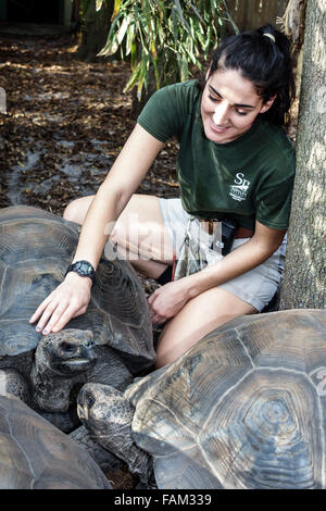 Gainesville Florida,Santa Fe College Teaching Zoo,Galapagos tartaruga,Chelonoidis nigra,studenti istruzione alunni pupillo,teen teen teen teen Foto Stock