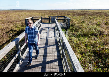 Gainesville Florida, Paynes Prairie Preserve state Park, passeggiata nella natura, paesaggio naturale, adulti uomini uomini uomini uomini uomini adulti, visitatori viaggi tour touri Foto Stock