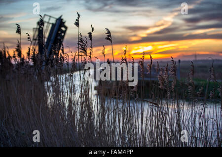 Il sorgere del sole sopra le paludi in Burwell Lode a Wicken Fen,Cambridgeshire. Foto Stock