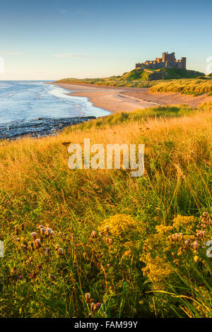 Il castello di Bamburgh all alba del oriente costo di Northumberland, Inghilterra. Foto Stock