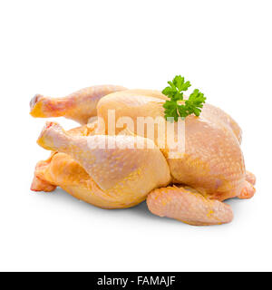 Pollo nutrito con mais, su sfondo bianco intero close up Foto Stock