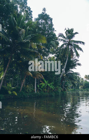 Backwaters nel Kerala, India. Le lagune sono una rete estesa di 41 ovest ad incastro che scorre fiumi, laghi e canali th Foto Stock