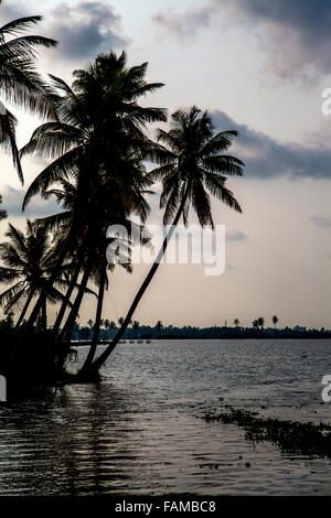 Backwaters nel Kerala, India. Le lagune sono una rete estesa di 41 ovest ad incastro che scorre fiumi, laghi e canali th Foto Stock