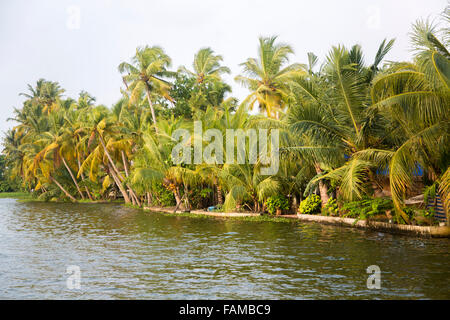 Backwaters nel Kerala, India. Le lagune sono una rete estesa di 41 ovest ad incastro che scorre fiumi, laghi e canali th Foto Stock