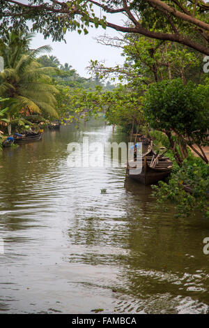 Backwaters nel Kerala, India. Le lagune sono una rete estesa di 41 ovest ad incastro che scorre fiumi, laghi e canali th Foto Stock