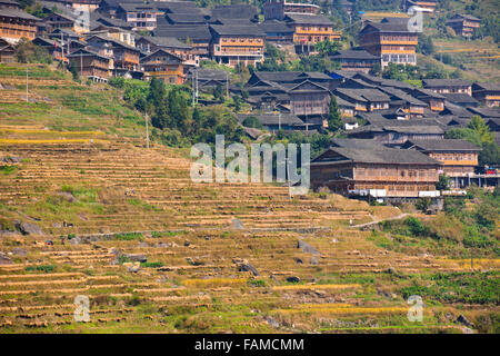 Jinkeng (Dazhai) Red Yao campi terrazzati,zona circostante,terrazze di riso raccolti Zhuang e Yao villaggi,Longsheng,Guangxi,Cina Foto Stock