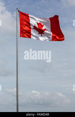 Bandiera canadese soffiando nel vento Foto Stock