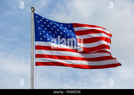 A STELLE E STRISCE, bandiera americana soffiando nel vento Foto Stock