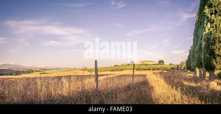 Estate paesaggio di campagna con alti cipressi in Toscana Foto Stock