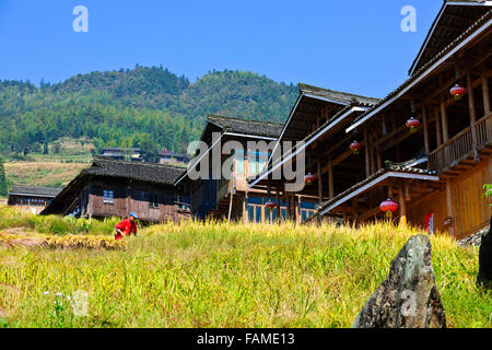 Jinkeng (Dazhai) Red Yao campi terrazzati,zona circostante,terrazze di riso raccolti Zhuang e Yao villaggi,Longsheng,Guangxi,Cina Foto Stock