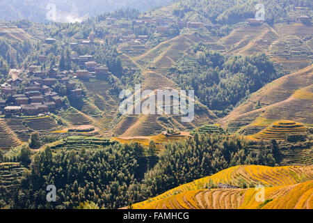 Jinkeng (Dazhai) Red Yao campi terrazzati,zona circostante,terrazze di riso raccolti Zhuang e Yao villaggi,Longsheng,Guangxi,Cina Foto Stock