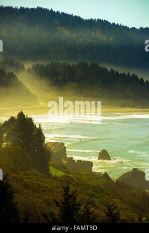 California del Nord Pacifico costa vicino a Crescent City, California, Stati Uniti. Foggy Redwood Highway. Foto Stock