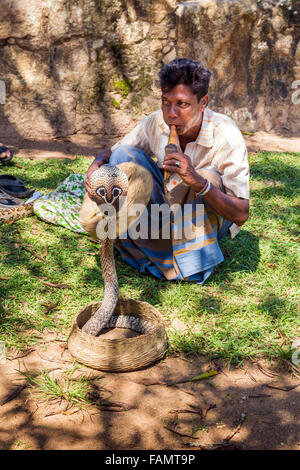 Il serpente incantatore, Anuradhapura Città patrimonio mondiale UNESCO, Sri Lanka Foto Stock