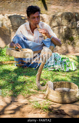 Il serpente incantatore, Anuradhapura Città patrimonio mondiale UNESCO, Sri Lanka Foto Stock