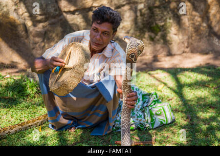 Il serpente incantatore, Anuradhapura Città patrimonio mondiale UNESCO, Sri Lanka Foto Stock