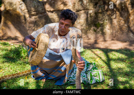 Il serpente incantatore, Anuradhapura Città patrimonio mondiale UNESCO, Sri Lanka Foto Stock