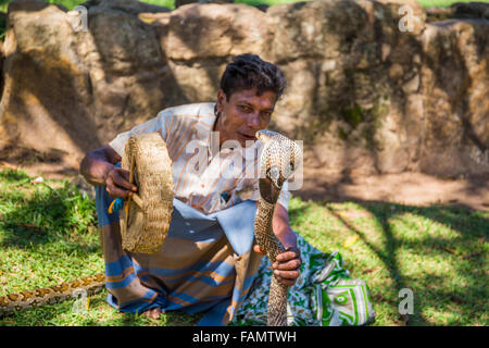 Il serpente incantatore, Anuradhapura Città patrimonio mondiale UNESCO, Sri Lanka Foto Stock