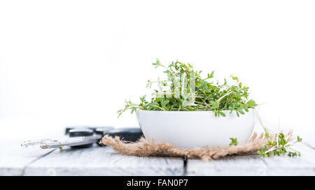 Garden Cress (close-up shot) isolato su sfondo bianco Foto Stock