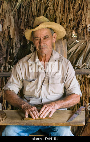 La laminazione del sigaro cubano, coltivatore di tabacco Sigari rullo Maker Vinales Valley, Cuba Foto Stock