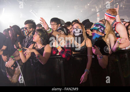 Rosemont, Illinois, Stati Uniti d'America. 31 Dic, 2015. Appassionati di musica di godersi la reazione di Capodanno mostra a Donald E. Stephens Convention Center in Rosemont, Illinois © Daniel DeSlover/ZUMA filo/Alamy Live News Foto Stock