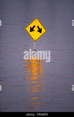 Parco Valle, Missouri, Stati Uniti d'America. Il 1 di gennaio 2016. Le acque di esondazione vicino al fiume Meramec flood i cartelli stradali in Parco Valle, Missouri Credito: Gino's immagini Premium/Alamy Live News Foto Stock