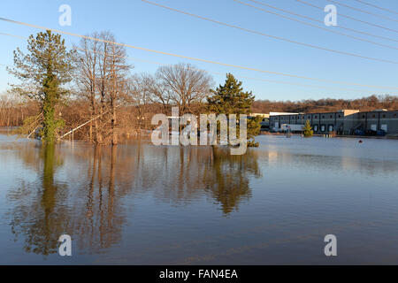 Parco Valle, Missouri, Stati Uniti d'America. Il 1 di gennaio 2016. Le acque di esondazione vicino al fiume Meramec flood auto e segnaletica stradale nel Parco Valle, Missouri Credito: Gino's immagini Premium/Alamy Live News Foto Stock