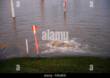 Parco Valle, Missouri, Stati Uniti d'America. Il 1 di gennaio 2016. Le acque di esondazione nel Parco Valle, Missouri Credito: Gino's immagini Premium/Alamy Live News Foto Stock