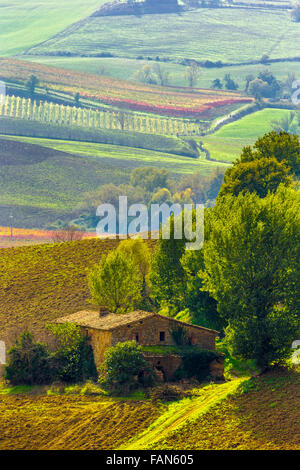 Rustico in pietra agriturismo in campi di rotolamento, Toscana Foto Stock
