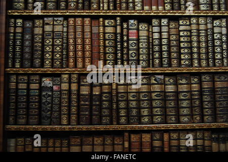 Vecchi libri sugli scaffali Foto Stock