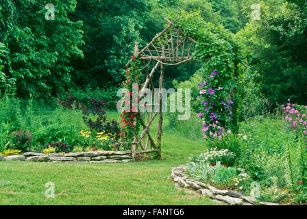 Giardino arco o il mandrino con la clematide in fiore in blu e rosso sul pomeriggio estivo che conduce dal cortile, Missouri USA Foto Stock