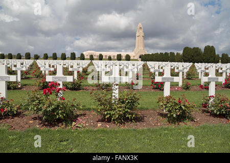 Vista generale oltre il francese Cimitero Nazionale di fronte all'Ossario Douaumont, vicino a Fort Douaumont, vicino a Verdun, Francia. Foto Stock