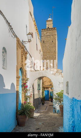 Strada tipica della Kasbah di Udayas a Rabat, Marocco. Il Nord Africa. Kasbah di Udayas è un piccolo complesso fortificato. Foto Stock