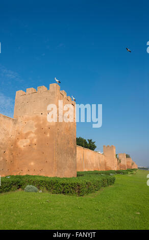 Almohade mura della città di Medina di Rabat, Marocco. Il Nord Africa. Foto Stock