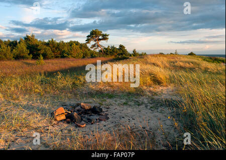 Camino. Prato costiere. Foto Stock