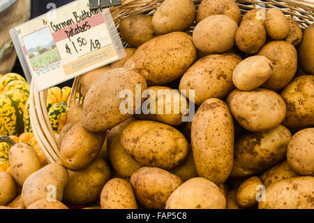 Visualizzazione delle patate fresche al mercato degli agricoltori, Beaverton, Oregon, Stati Uniti d'America Foto Stock