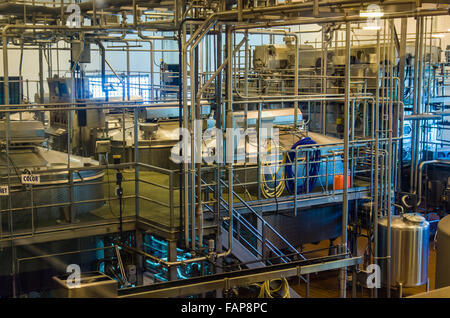 In vasche di acciaio inox per trasformare il latte in formaggio al Tillamook fabbrica di formaggio, Tillamook, Oregon, Stati Uniti d'America Foto Stock