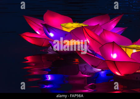 Vista notturna illuminata del fiore di loto lanterne a festa delle lanterne, Taichung, Taiwan Foto Stock