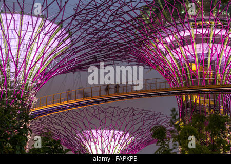Skyway tra colorate Super lit alberi, giardini dalla baia, Singapore, Asia Foto Stock
