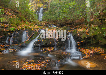 Foglie di autunno del moto vorticoso, Manis ramo cade, Great Smoky Mountains NP, Tennessee, Stati Uniti d'America Foto Stock