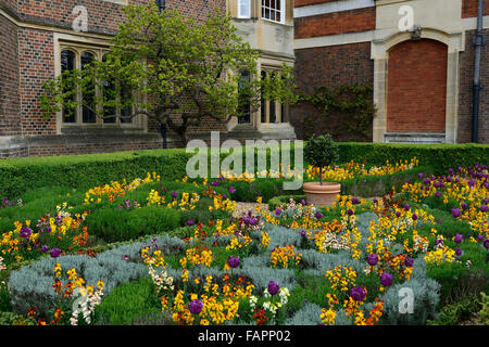 Hampton Court Palace Gardens sunken garden fiori di primavera tulipani ersyimum bloom letto formale border display RM Floral Foto Stock