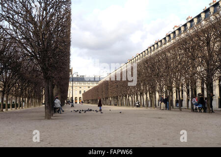 Palais-Royal, Jardin du Palais Royal, giardino, parco sito, Paris, Francia. Foto Stock