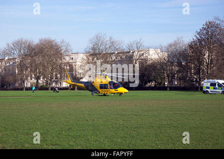 Il giallo e il nero elicottero della polizia è atterrato a Regent's Park, London, Regno Unito Foto Stock