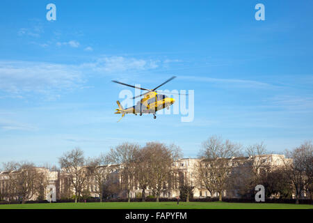 Airborne giallo e nero elicottero della polizia in bilico su Regent's Park, London, Regno Unito Foto Stock