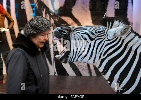 Una donna passa dalla finestra del famoso centro commerciale Stockmann, Helsinki, Finlandia. Helsingfors. Centro commerciale Stockmann. Stockmanns il famoso grande magazzino nel centro di Helsinki Foto Stock