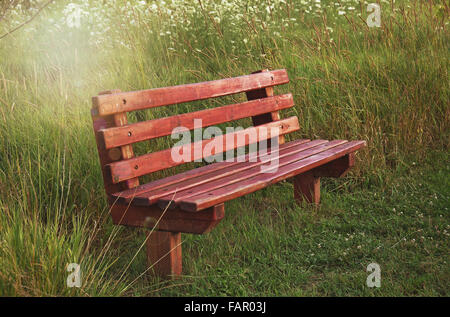 Panca in legno nel campo estivo di fiori selvatici con sun flare illuminazione. Foto Stock