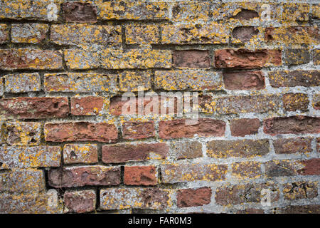 Vecchio muro di mattoni Foto Stock